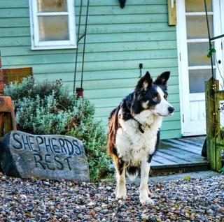 Finest Retreats Shepherds Rest at Morrells Wood - 1