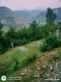 Comfort Suites Lara Gora - 7