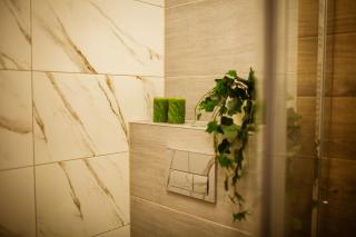 Domek i Apartament pod Tatrami - Suche - 5