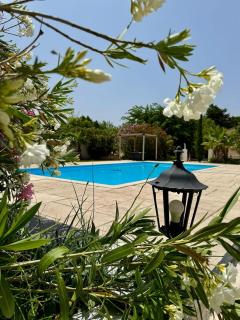 Cozy villa with private pool - Piolenc - 4