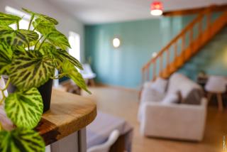 Le Duplex Gaillacois - Gaillac - 4
