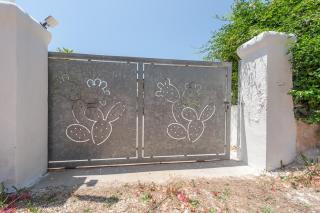 Fico d'india - 1