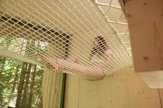 Green Tiny Village Harz - Tiny House Nook 20 - Osterode - 4