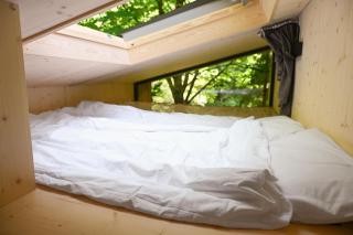 Green Tiny Village Harz - Tiny House Nook 20 - Osterode - 1