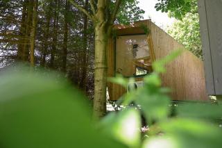 Green Tiny Village Harz - Tiny House Nook 20 - Osterode - 2