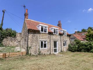 Hemdin Cottage - Pickering - 0
