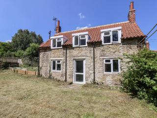 Hemdin Cottage - Pickering - 8