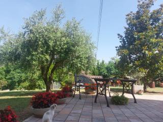 B&B Straccialena - - 0