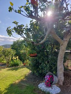 B&B Straccialena - - 7