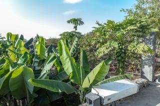 Hotel Pousada Venus - 3