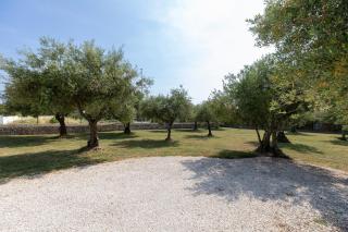 PALACE Apartments NEW! - Poreč - 5