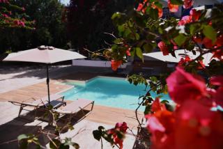 Boutique Hotel Tilos Mare - Livadia - 1