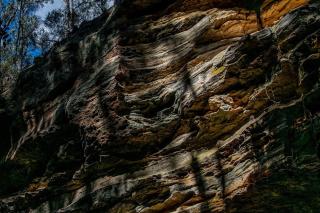 Bushland family retreat - - 7