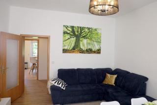 MosenNest - Chemnitz - 9