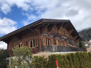 Newly Renovated 3 Bedroom Apartment with Beautiful Views - Gsteig - 0