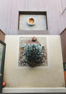 BeHere - Special Relaxation in Nature - 1