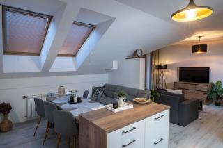 TRITA SK - two bedroom - living room - renovated - 6