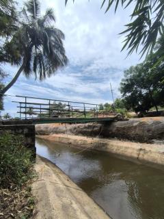 Gopi Plantation Homestay - 6