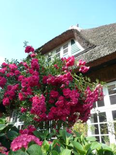 Landhaus-Marwede App6 - Haffkrug - 9