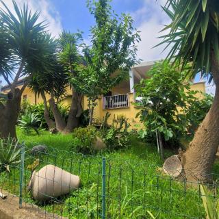 Villa Tolomeo - 7