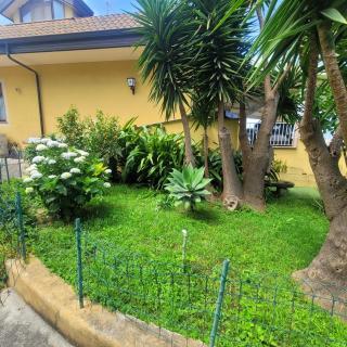 Villa Tolomeo - 6