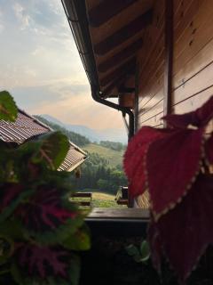 Kuća za odmor Andrea - Bajina Bašta - 4