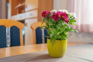 Appartement Sonnenschein - Berghausen - 6