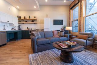 Luxury Residential Suite Duluth Press 102 ADA - Duluth - 0