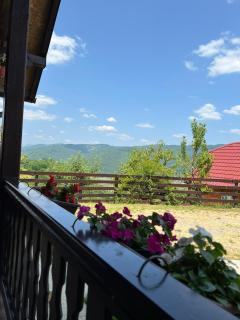 Brvnara Sofiana - Bajina Bašta - 5