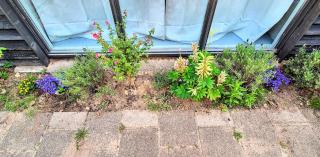 Garden Studio Eindhoven - Eindhoven - 1