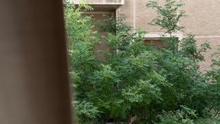 Relax & Comfy 2BR Apt Close To Athens Center - 6