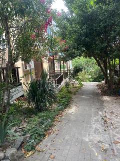 Advance Real Estate 1 - Alexandroúpolis - 4