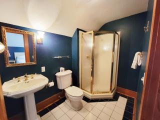 Superior Suite w Jacuzzi Sauna - Duluth - 1