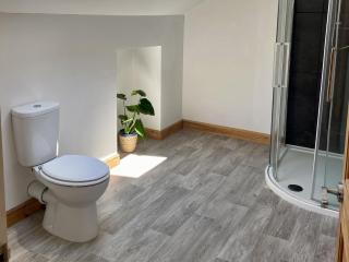 Old Forge Apartment - Wolverley - 2