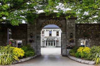 Castle Arch Hotel - Trim - 9