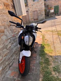 La corte dei celti la fonte 1 - San Benedetto Del Querceto - 7