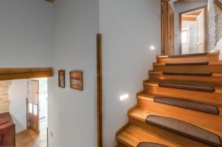 Villa Pelizzar near Vrsar - Gradina - 2