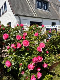 Dünennest Sylt - Traumhafter Garten & Kamin im Herzen von Hörnum - 4