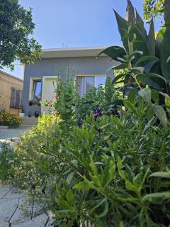 simon house - 3