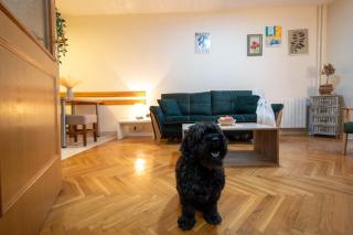 One bedroom apartment for Exit 2025 - Novi Sad - 5