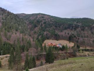 Pensiunea Izbucul Tauz - Gheţari - 1