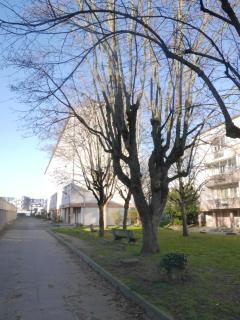 Appartement 302 - 8