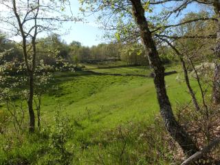 Casa Rural Dos Infantas Las Lilas - 1