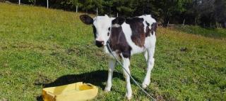 Hacienda El Atardecer, vía a Loja - 3