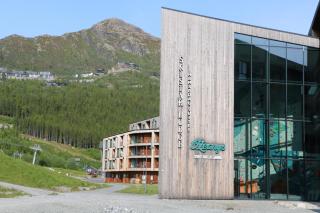 Stylish apartment in Hemsedal, Ski in-ski out - Hemsedal - 9
