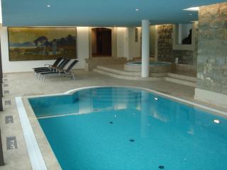 Great view Top floor spacious flat with Pool and Gym - Château-d'Oex - 7