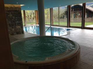 Great view Top floor spacious flat with Pool and Gym - Château-d'Oex - 5