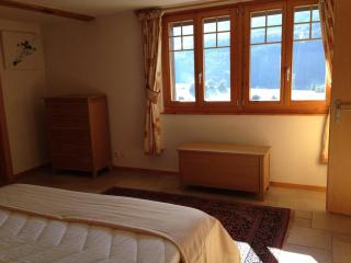 Great view Top floor spacious flat with Pool and Gym - Château-d'Oex - 1