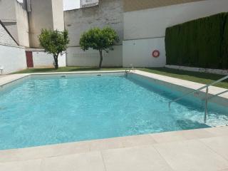 CENTRO, PARKING, PISCINA 2 Dormitorios SUITE PONDOS - Linares - 0