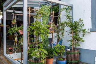 Ferienappartments Nähe Schweiz - 8